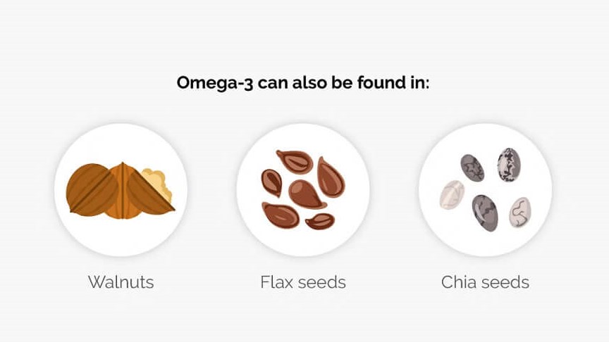 types of fat infographic